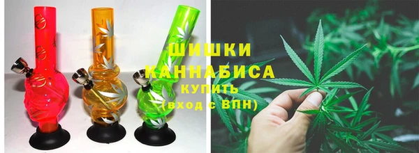ПСИЛОЦИБИНОВЫЕ ГРИБЫ Лихославль