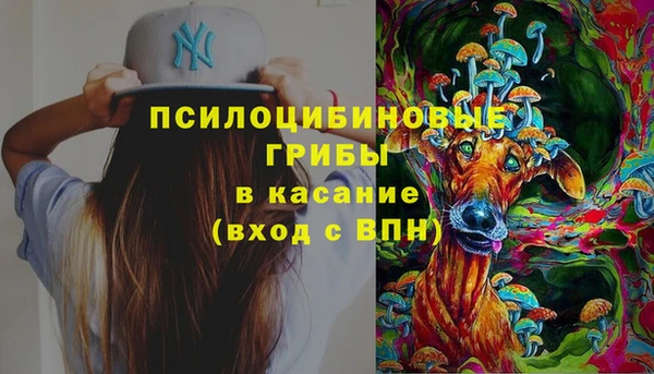 ешки Кукмор