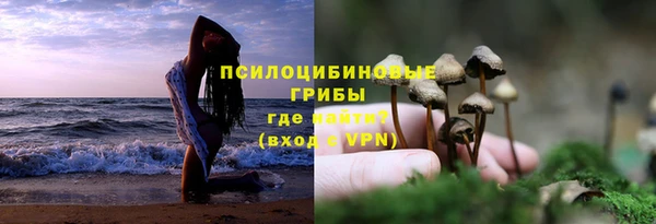 ALPHA PVP Лиски