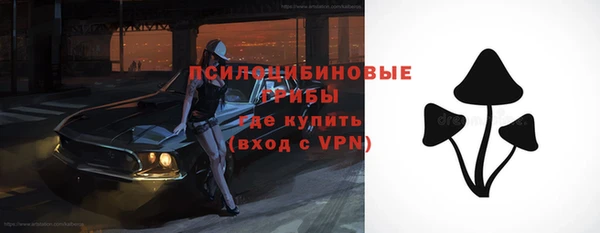 ПСИЛОЦИБИНОВЫЕ ГРИБЫ Магадан