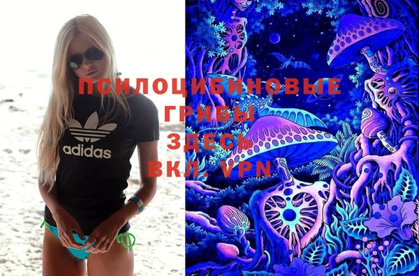 ПСИЛОЦИБИНОВЫЕ ГРИБЫ Магадан
