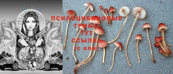 синтетический гашиш Липки